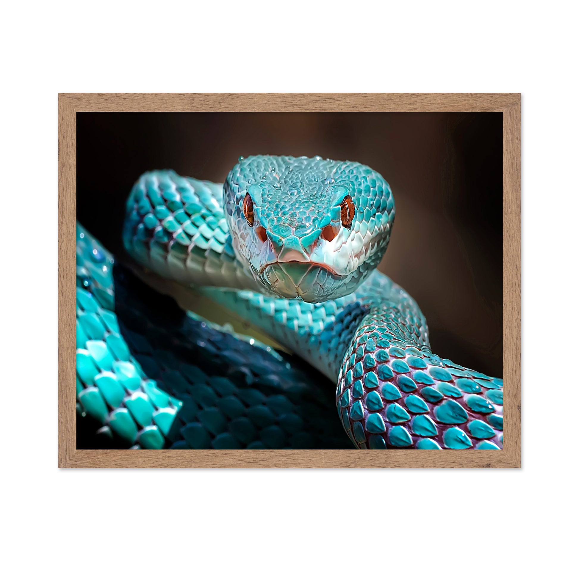 Sharp Look Of Blue Insularis Viper Snake