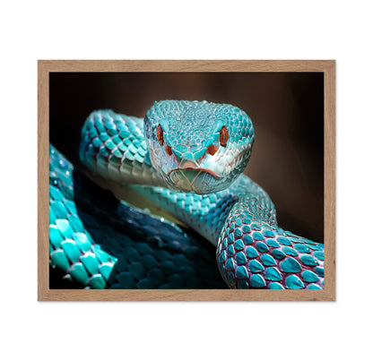 Sharp Look Of Blue Insularis Viper Snake