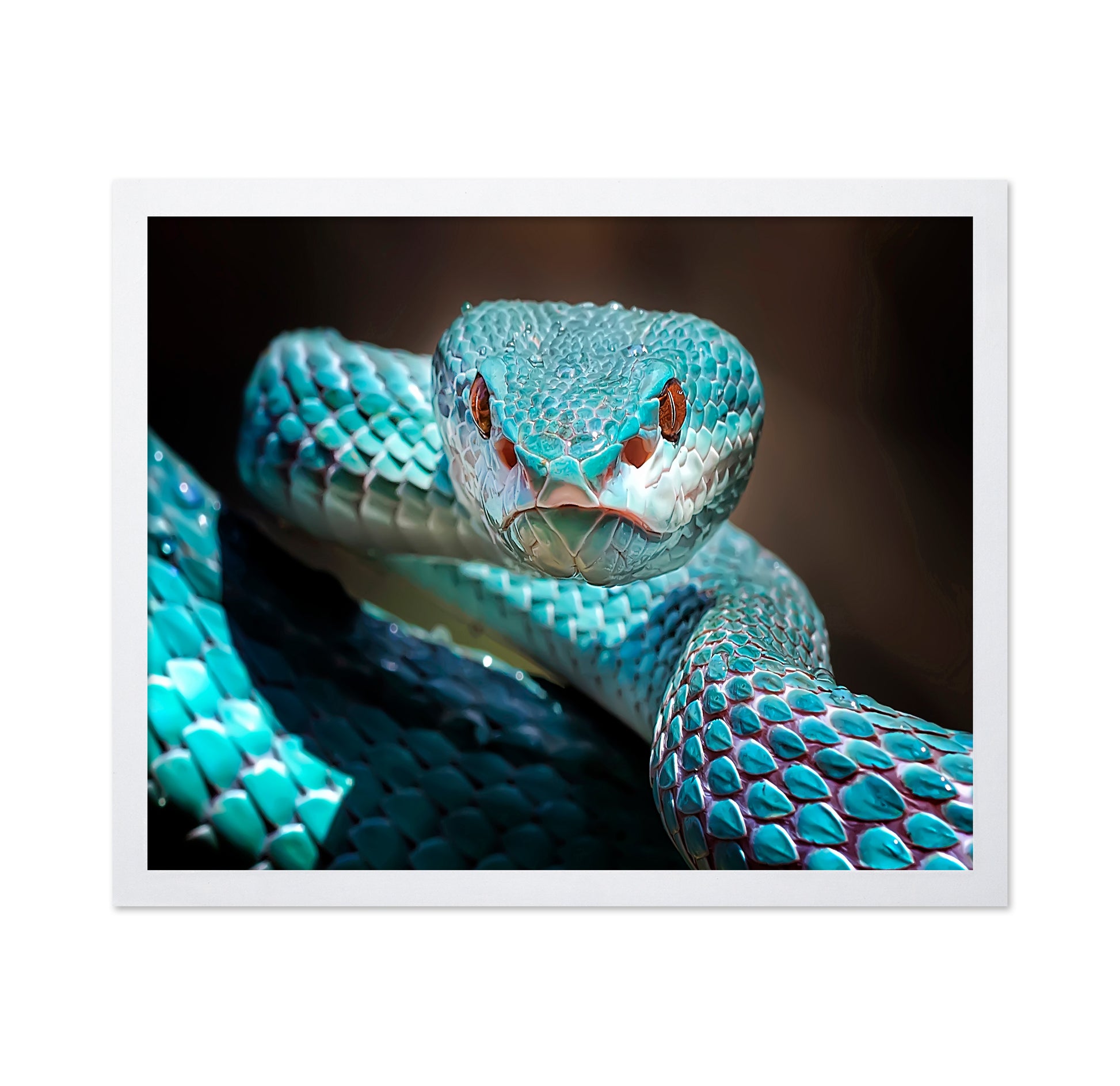Sharp Look Of Blue Insularis Viper Snake