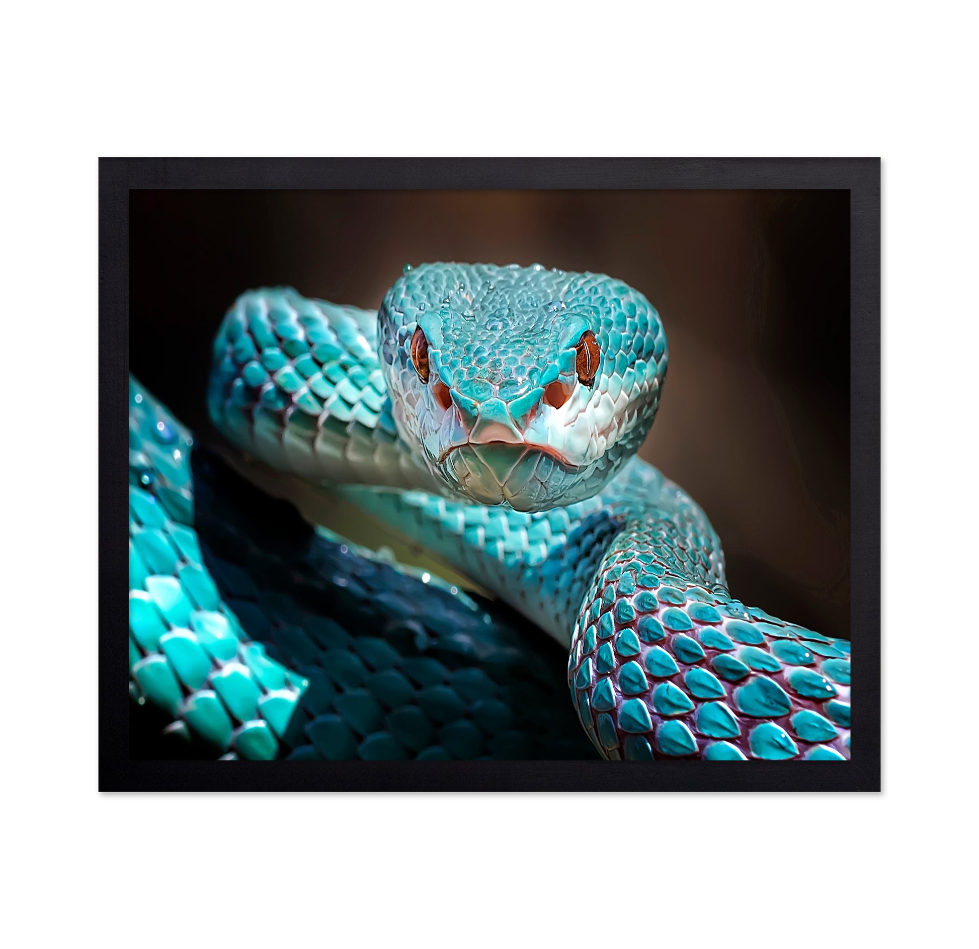 Sharp Look Of Blue Insularis Viper Snake