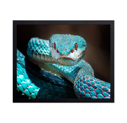 Sharp Look Of Blue Insularis Viper Snake