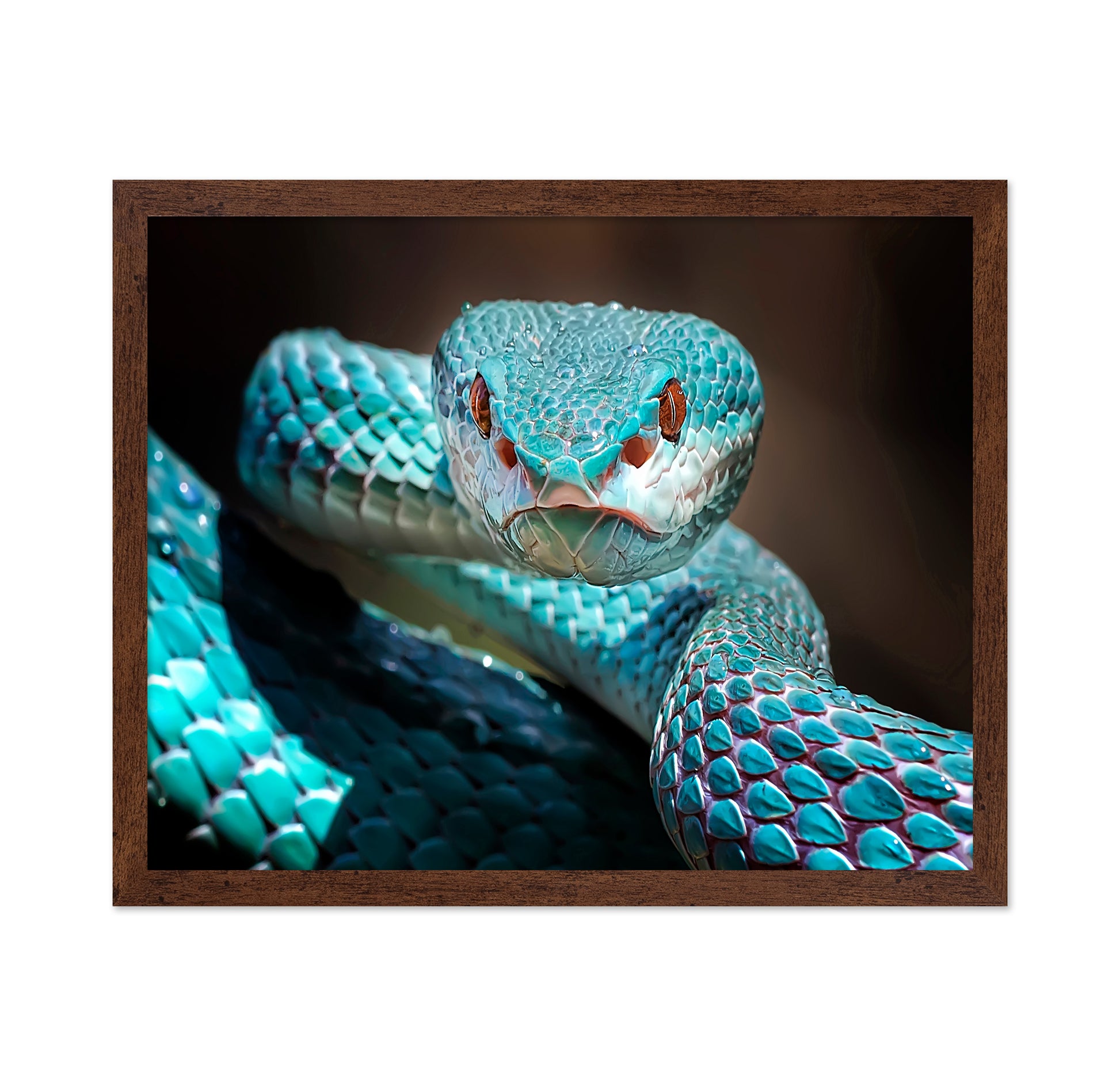 Sharp Look Of Blue Insularis Viper Snake