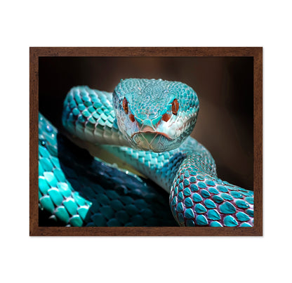 Sharp Look Of Blue Insularis Viper Snake
