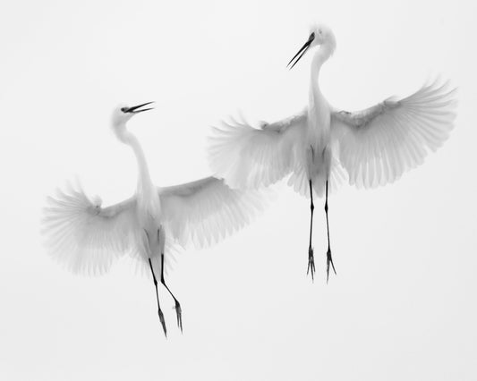 Dancers In The Sky