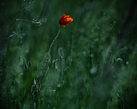 Blow Me Away