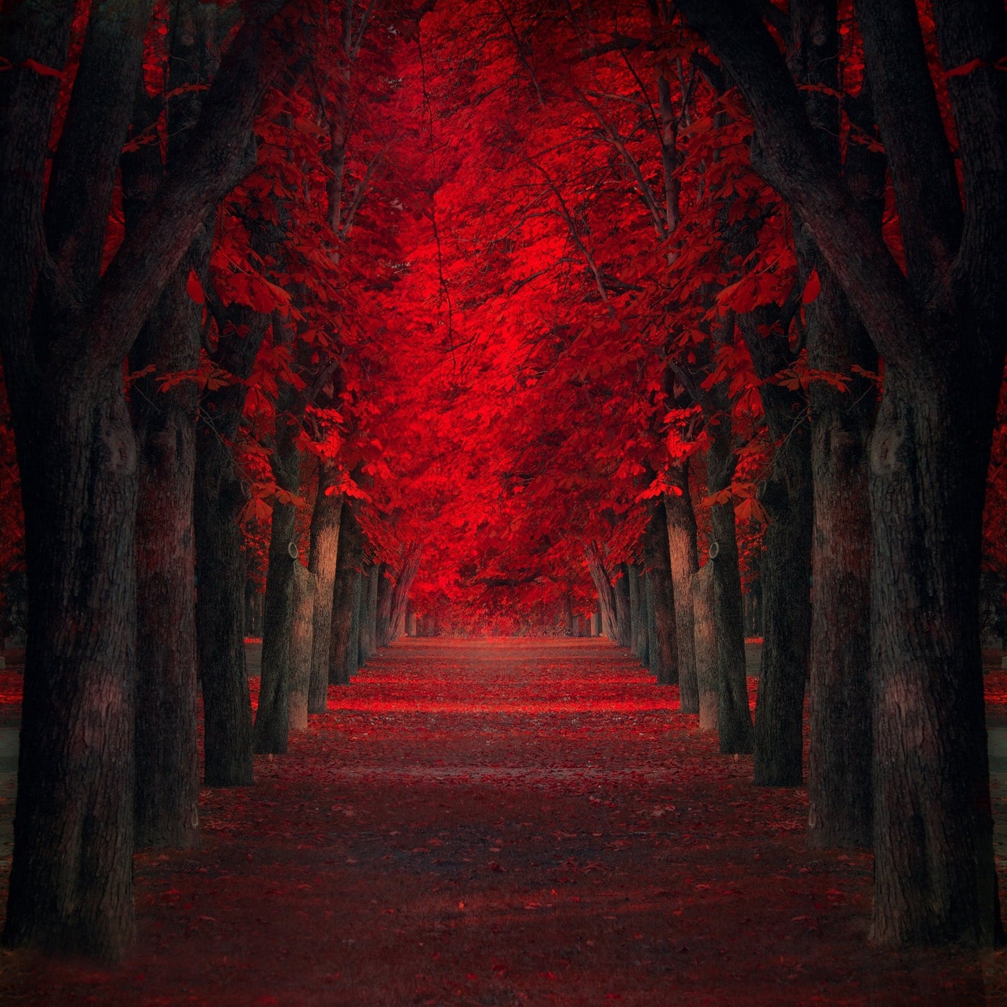 Endless Passion