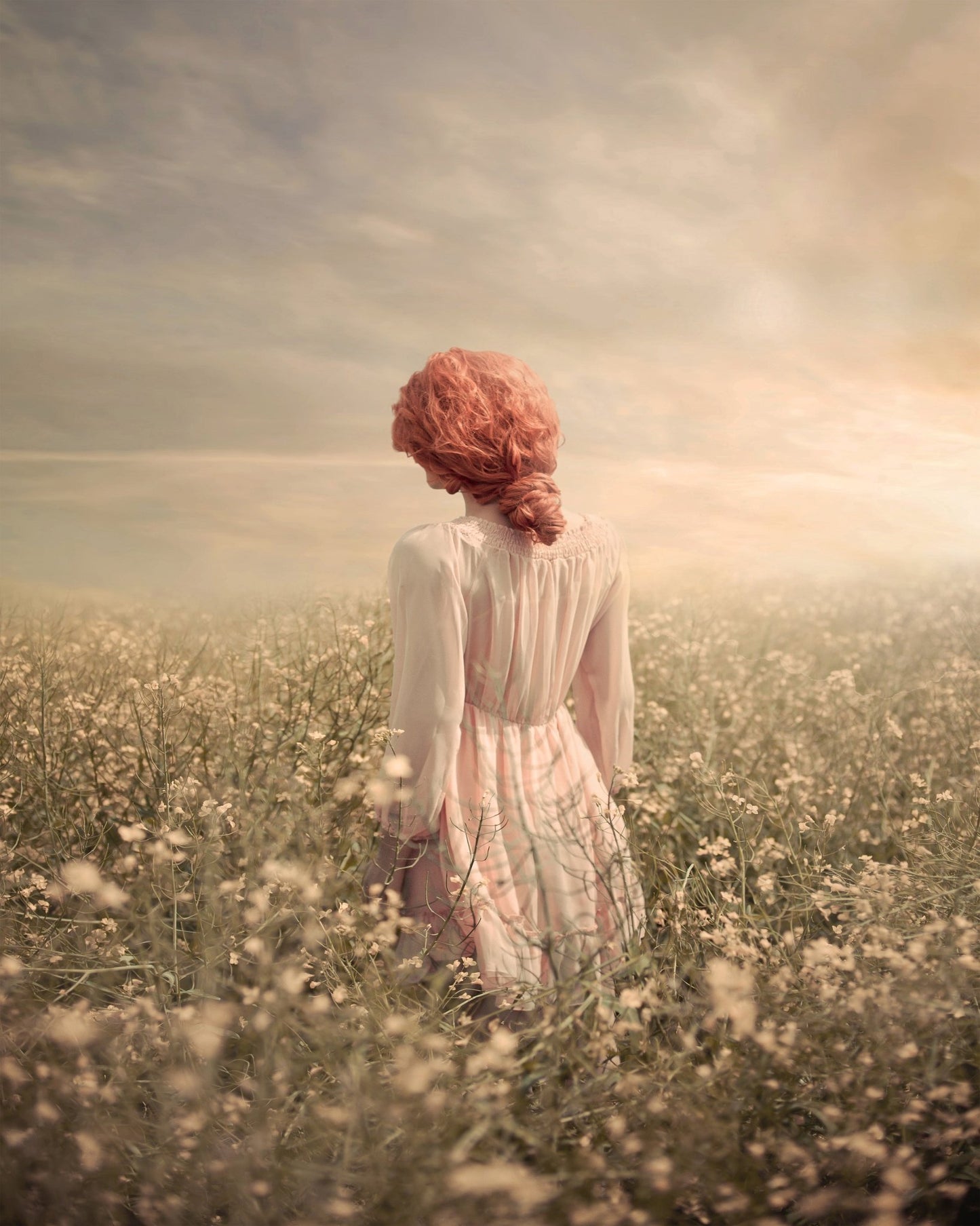 Field In Pastel