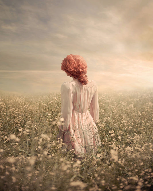 Field In Pastel