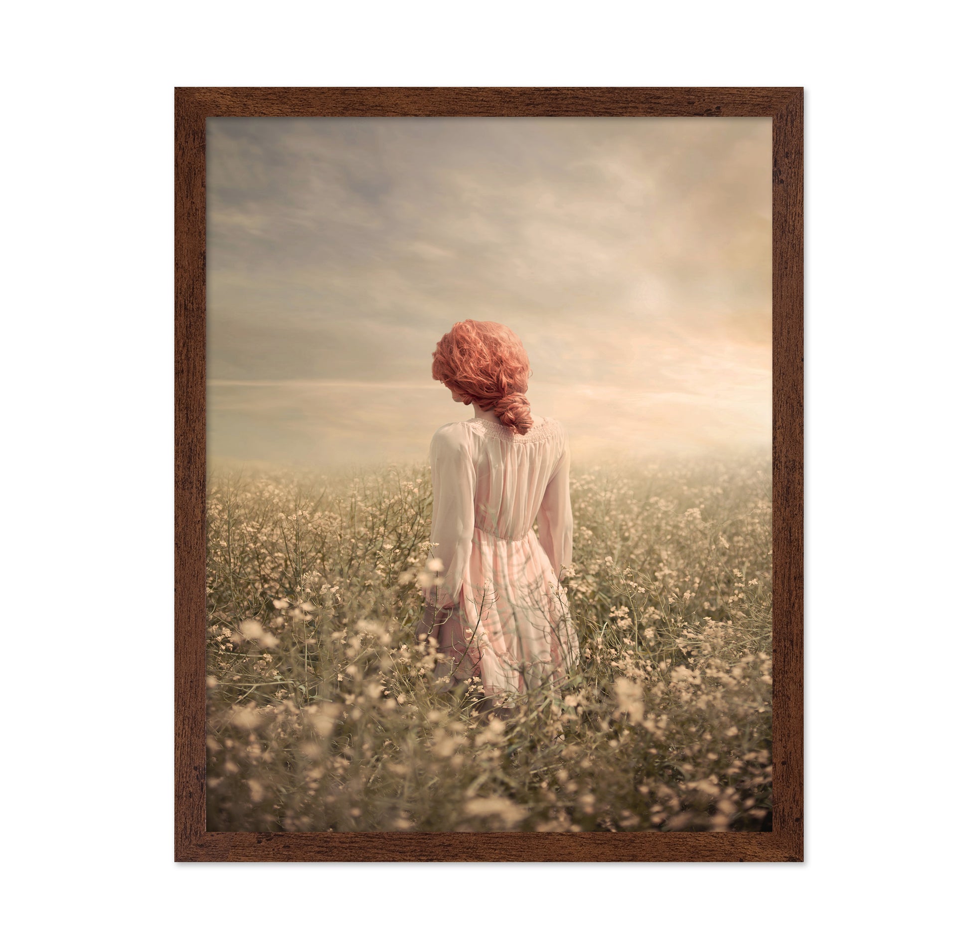 Field In Pastel