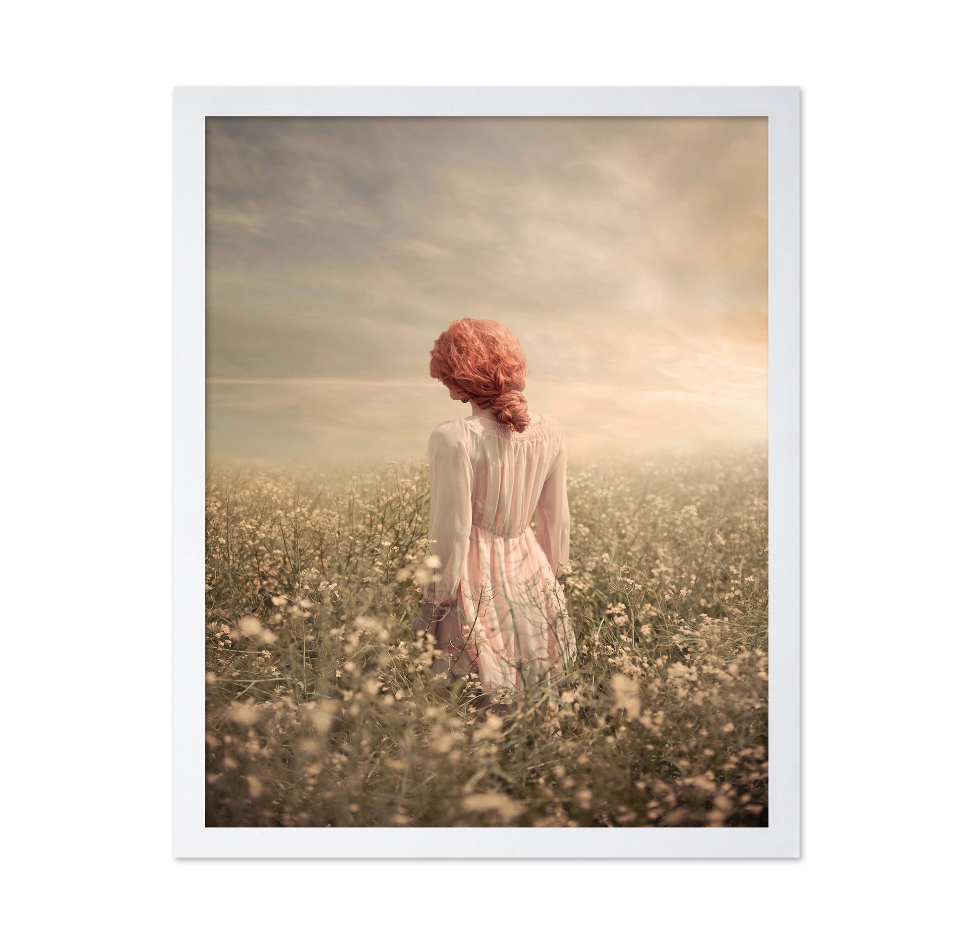 Field In Pastel