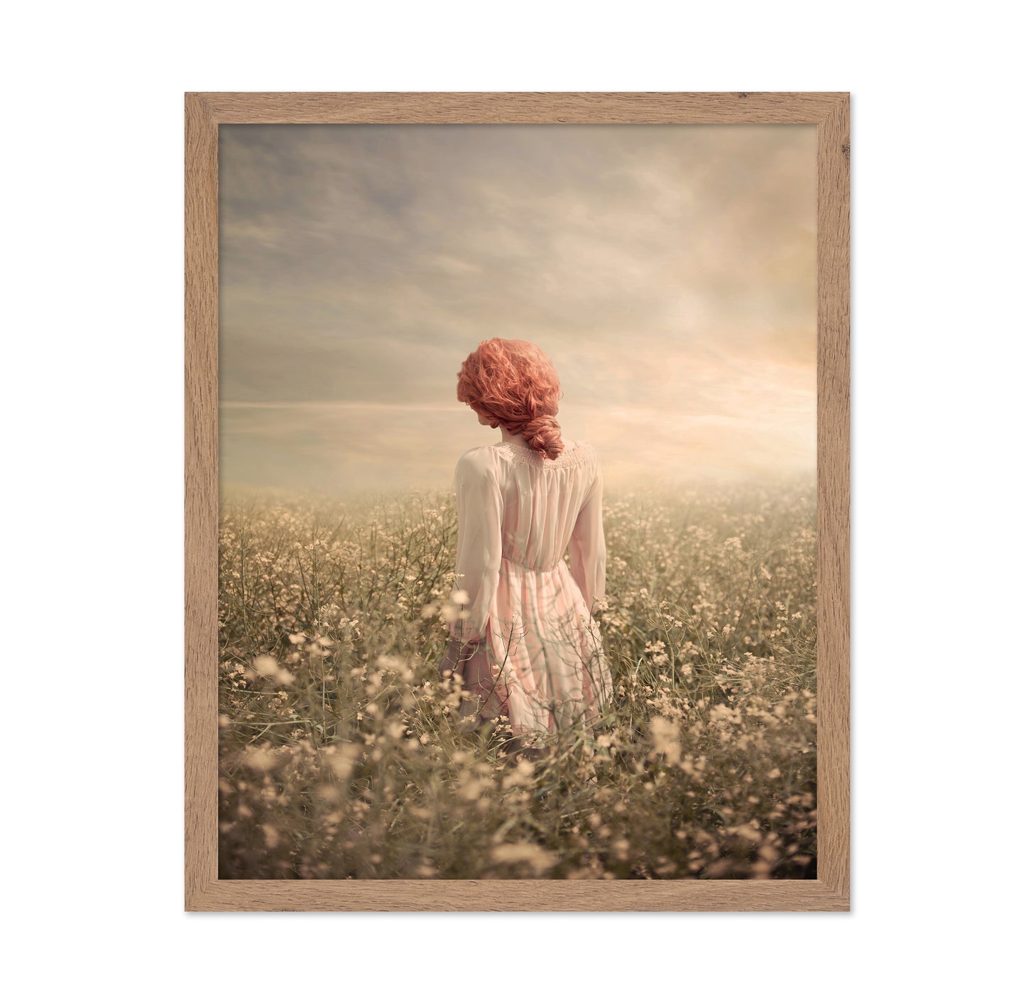 Field In Pastel