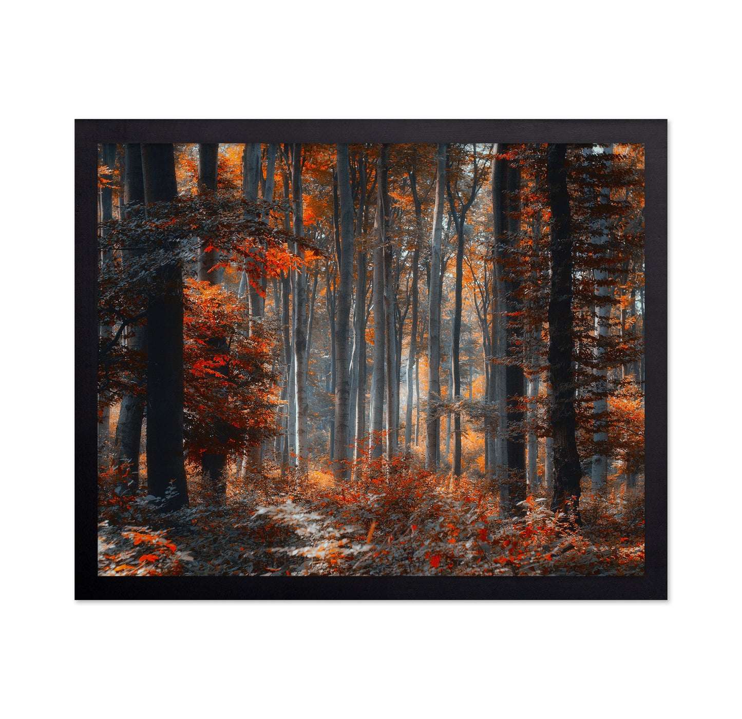 Painting Forest