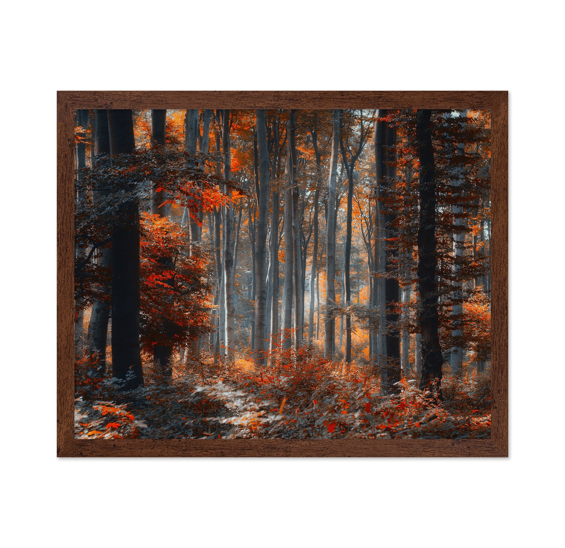 Painting Forest