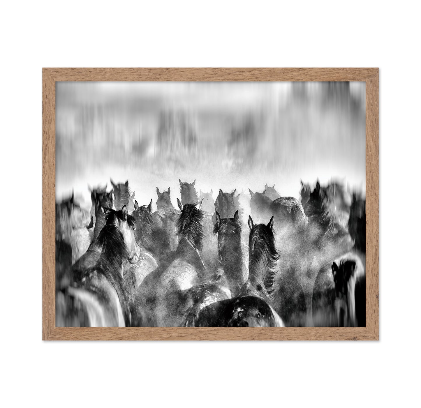 Horses