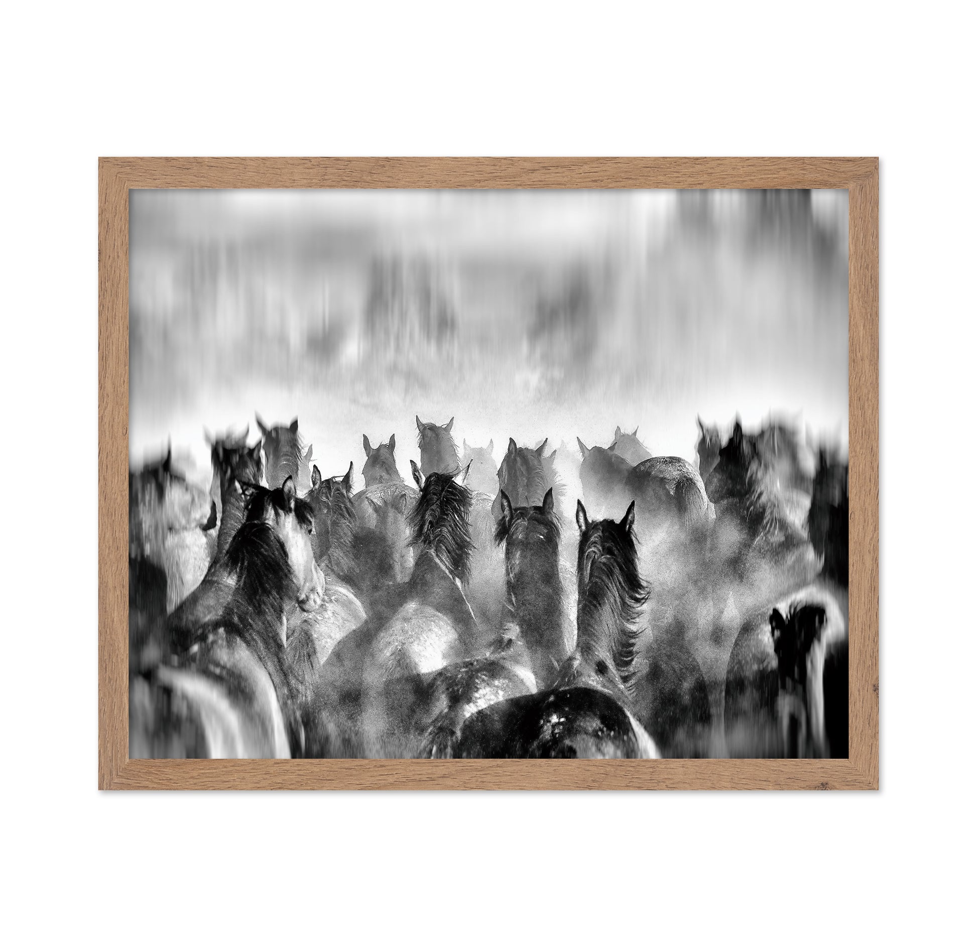 Horses