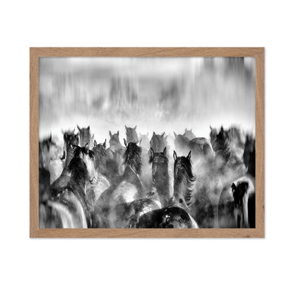 Horses