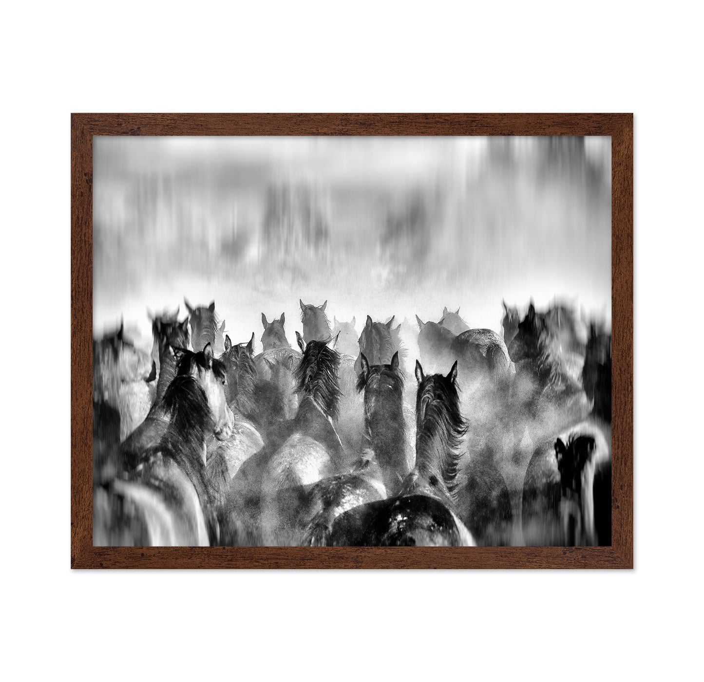Horses