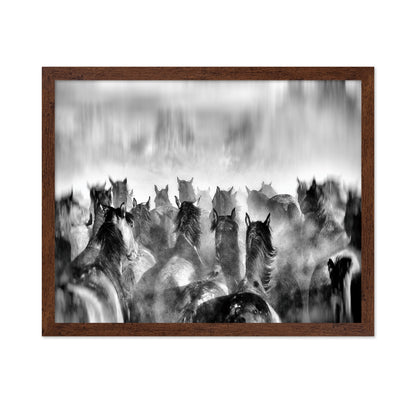 Horses