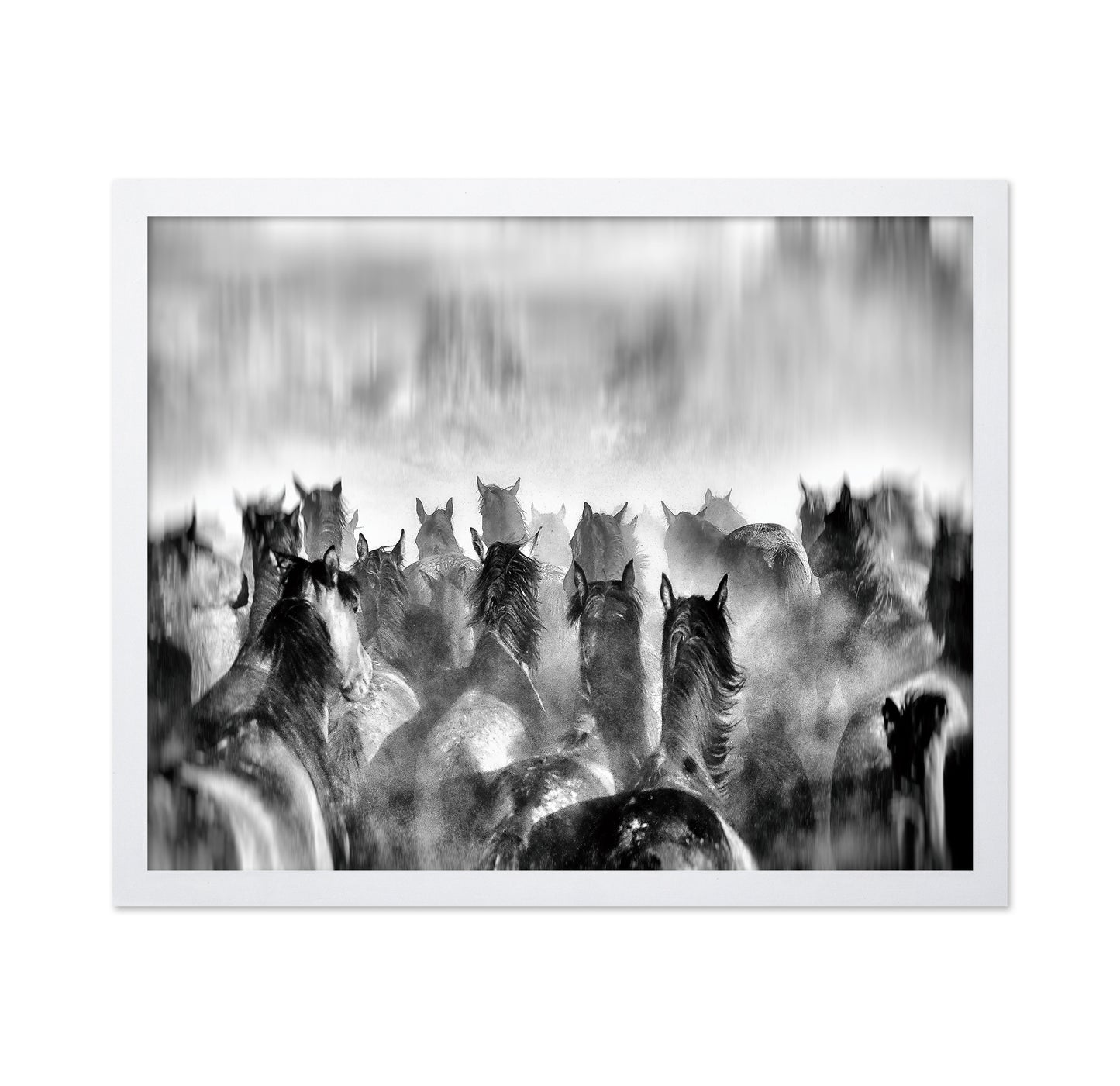Horses