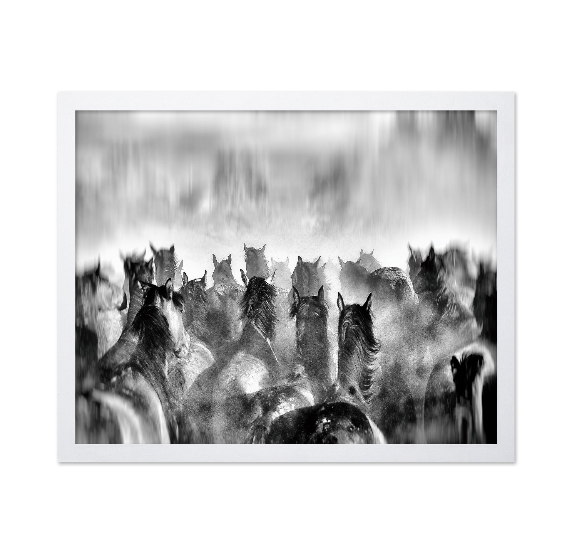 Horses