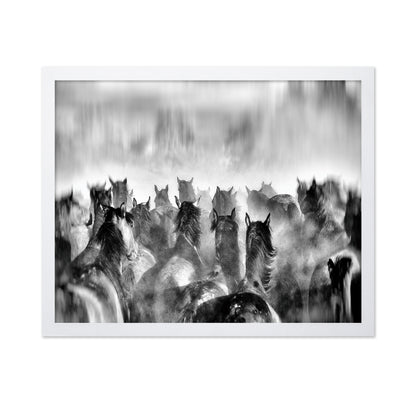 Horses