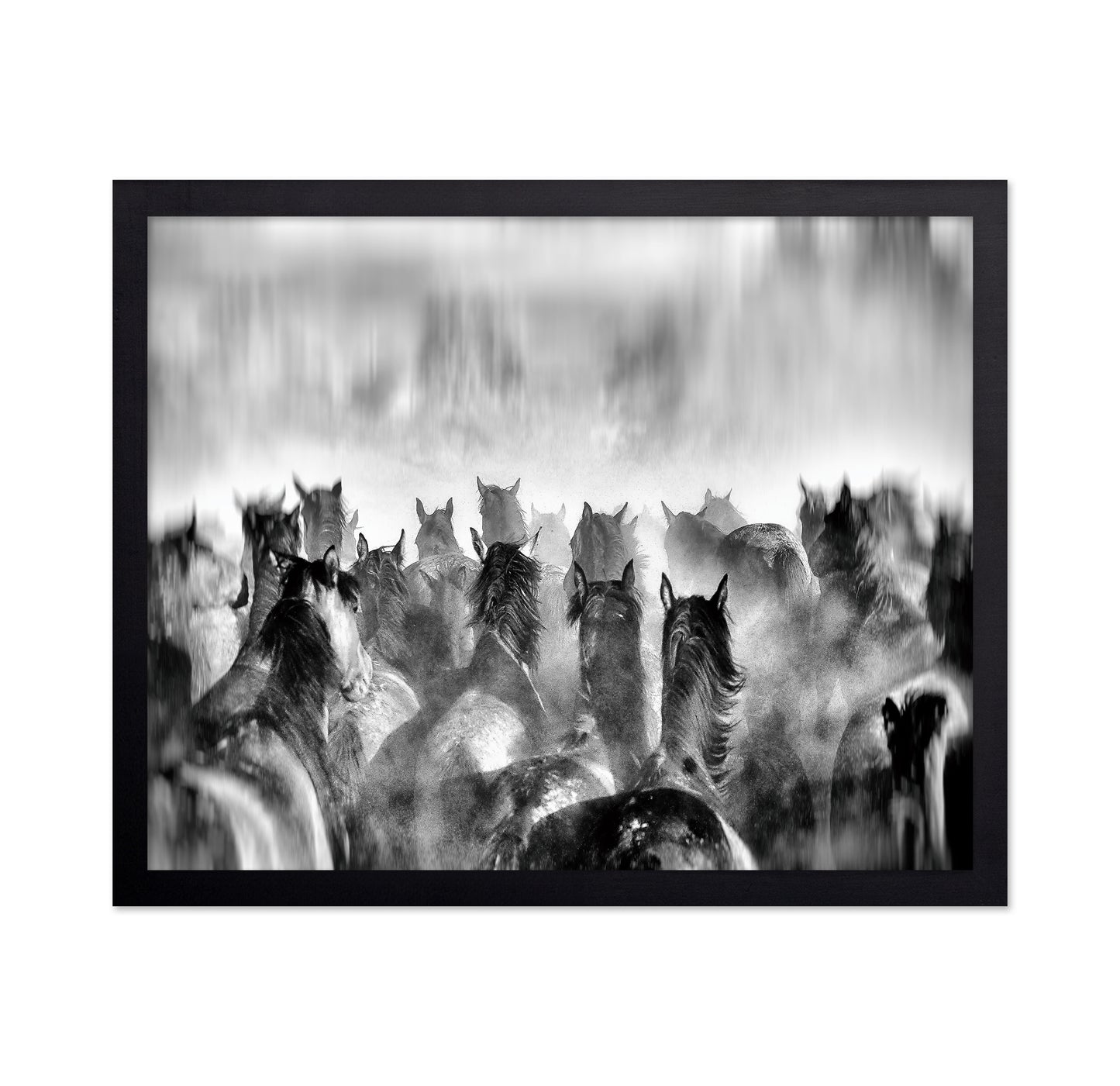 Horses