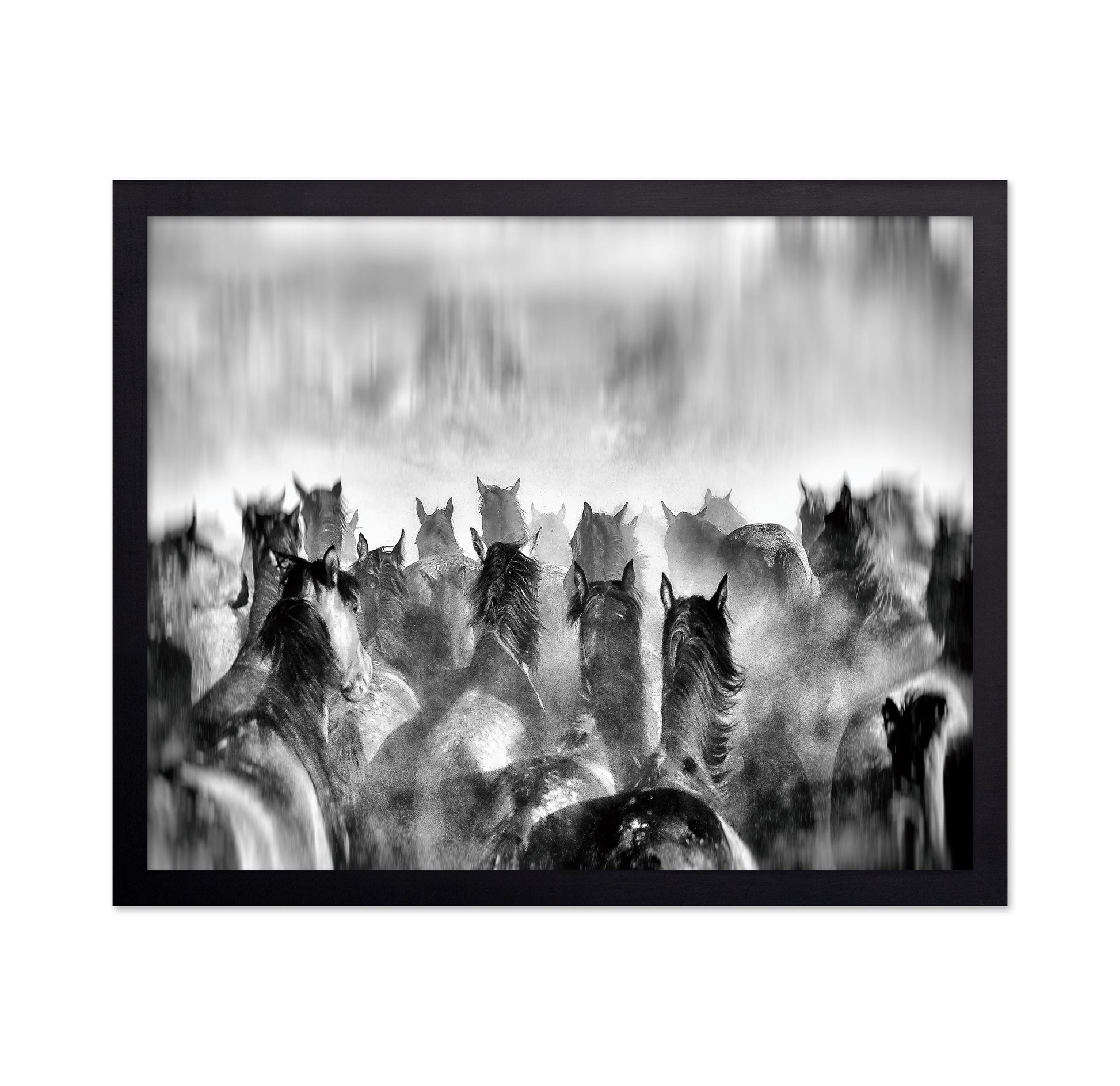 Horses