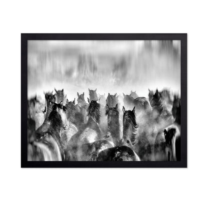 Horses