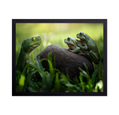 Frogs and Snake in the Grass
