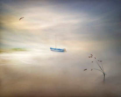 Dreaming Of The Sea