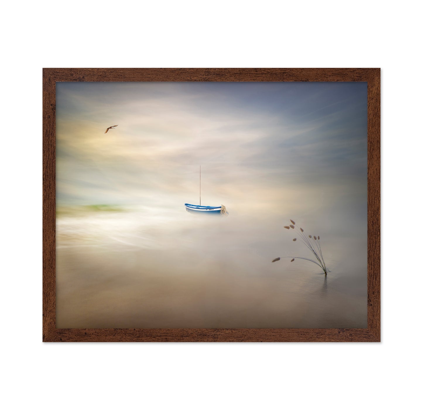 Dreaming Of The Sea