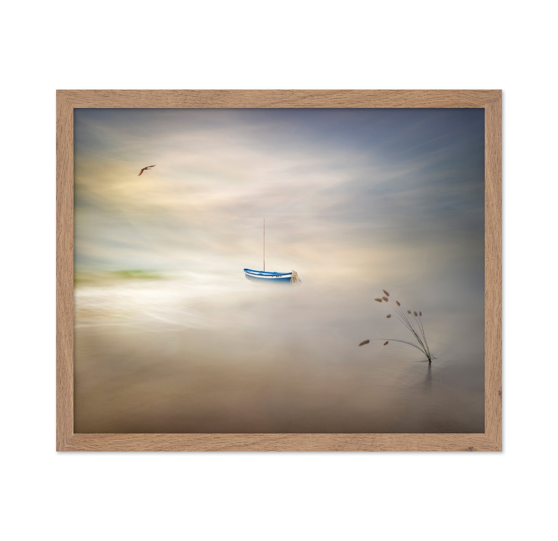 Dreaming Of The Sea