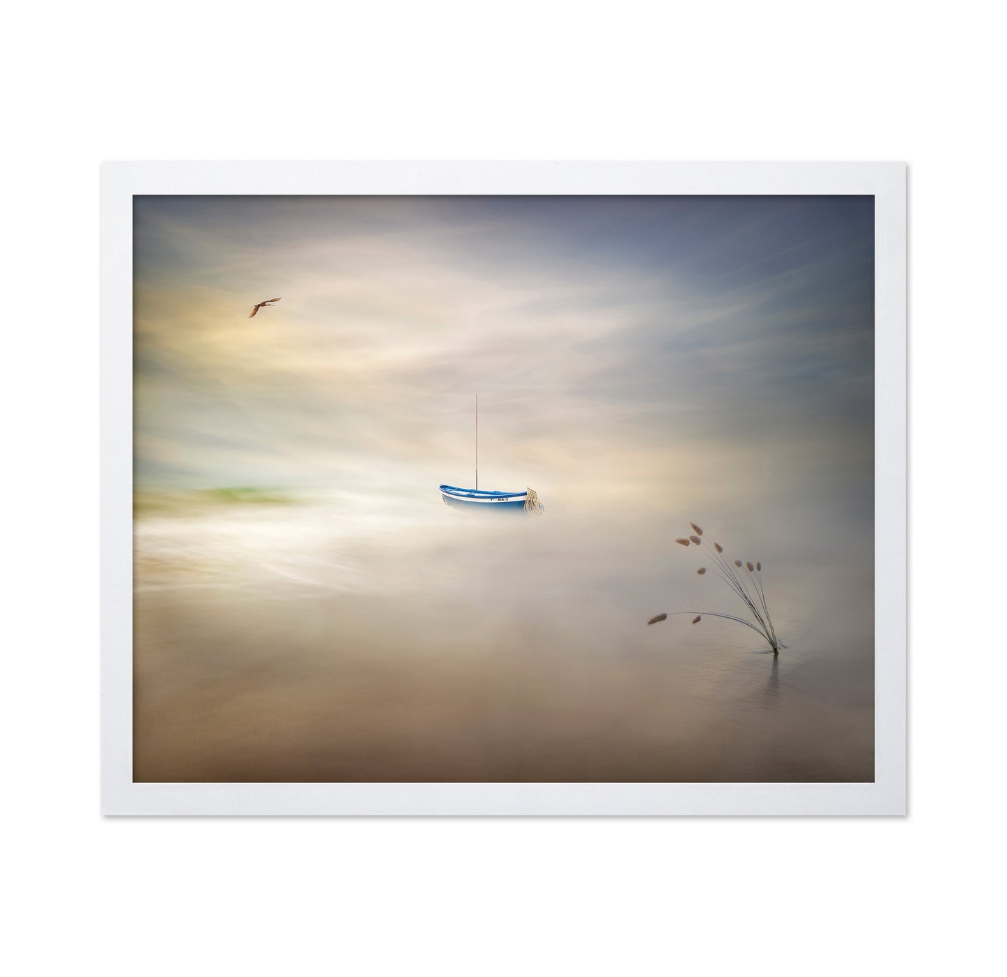 Dreaming Of The Sea