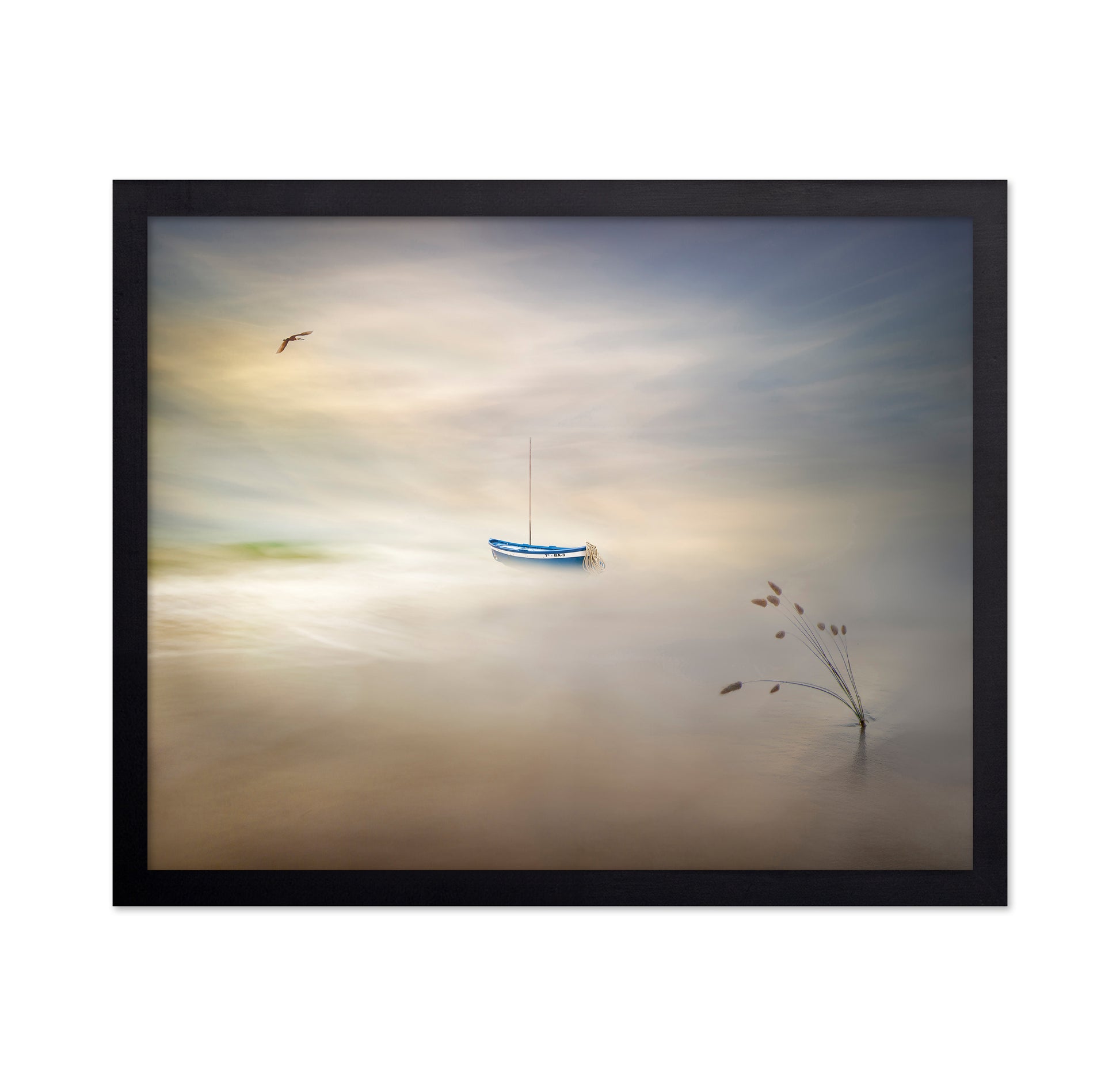 Dreaming Of The Sea