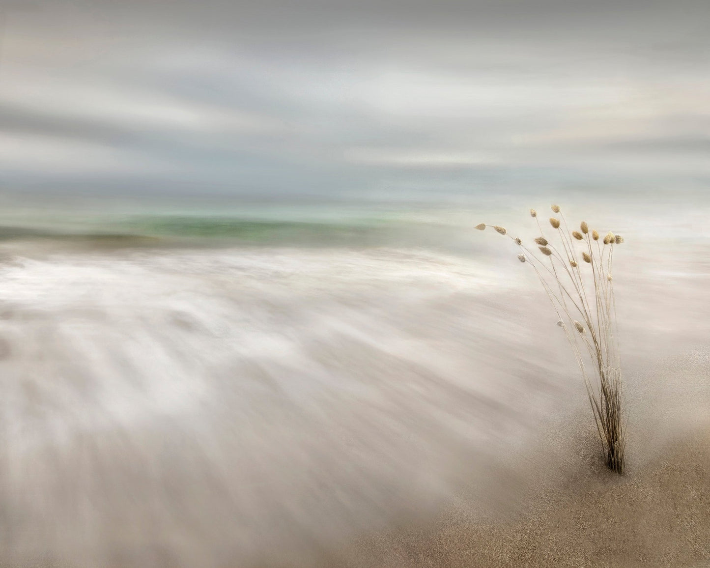 Ears In The Sea