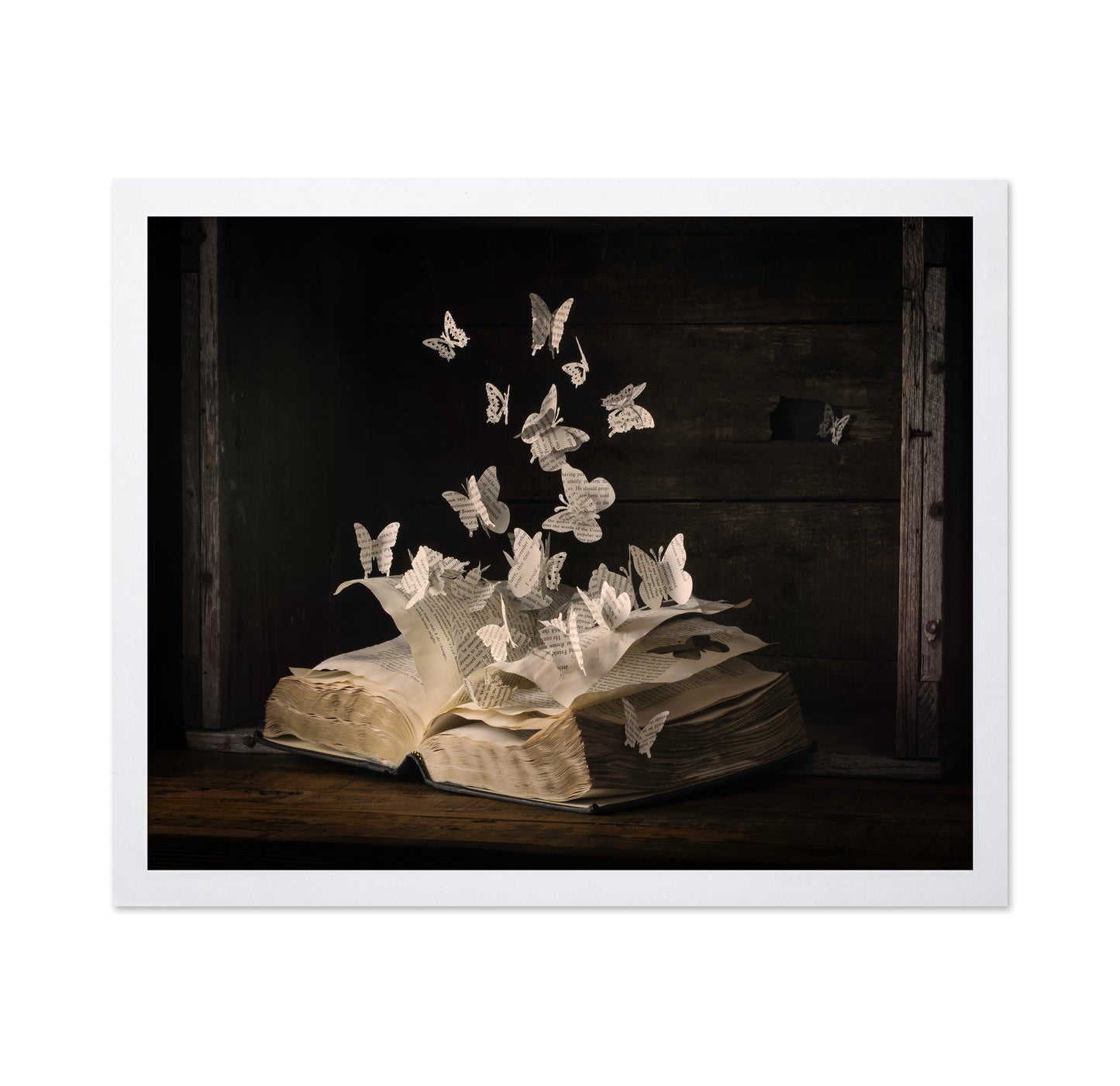 Lepidopterology