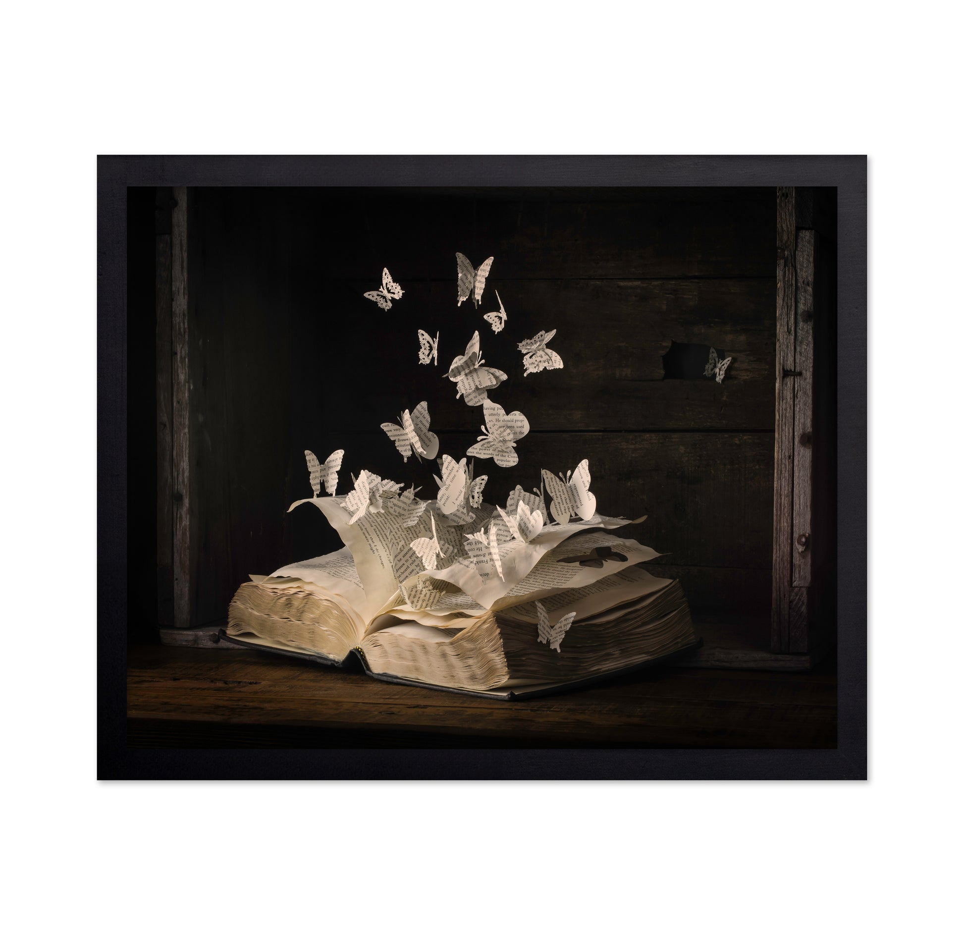 Lepidopterology