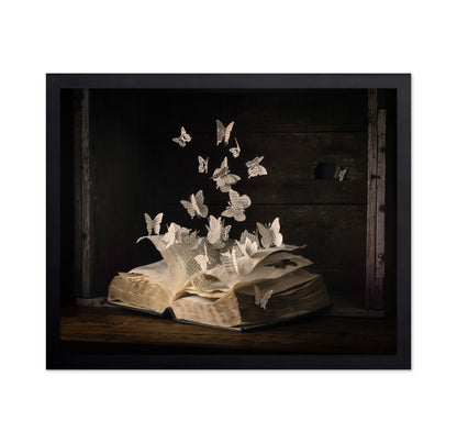 Lepidopterology