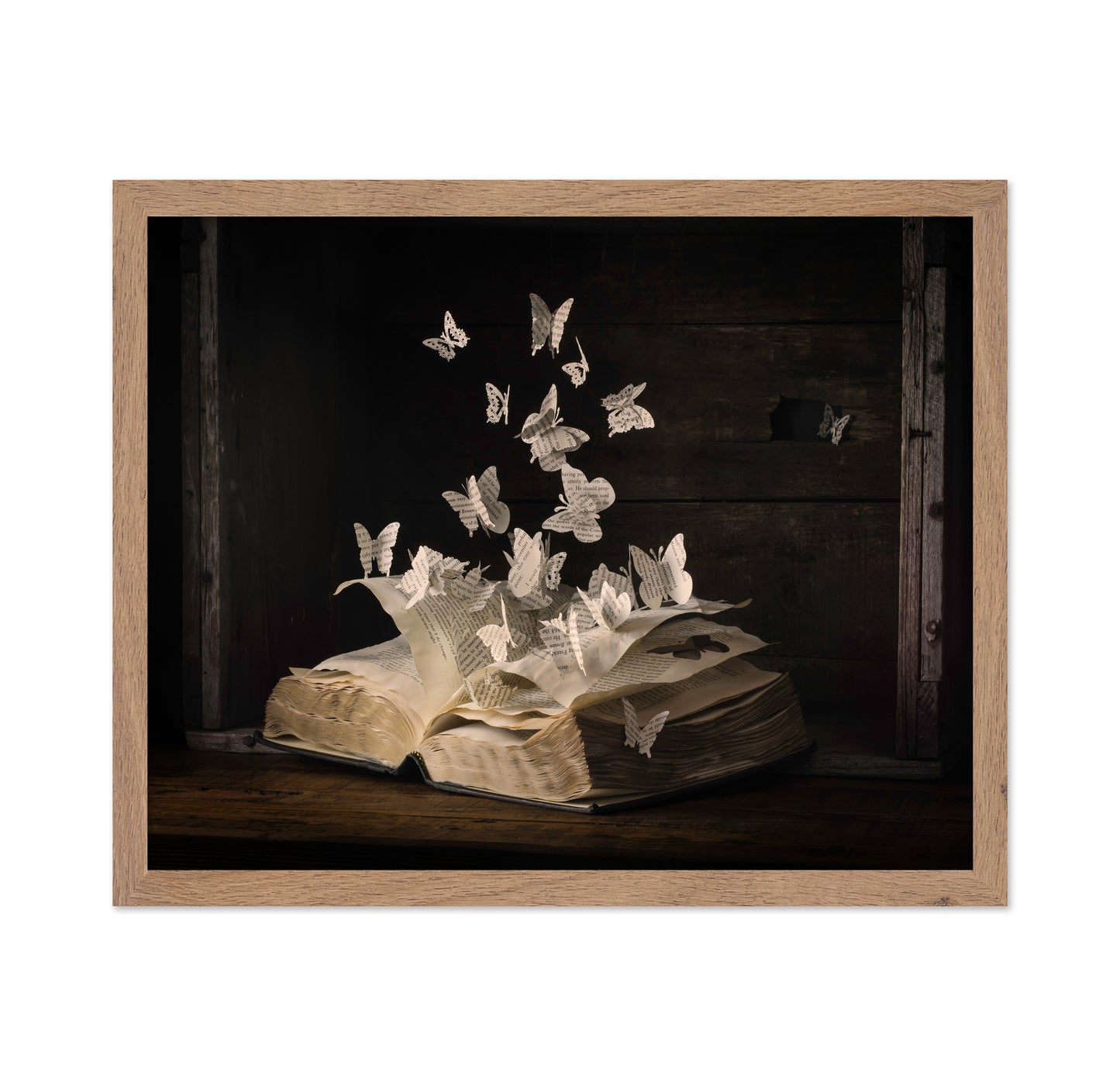 Lepidopterology