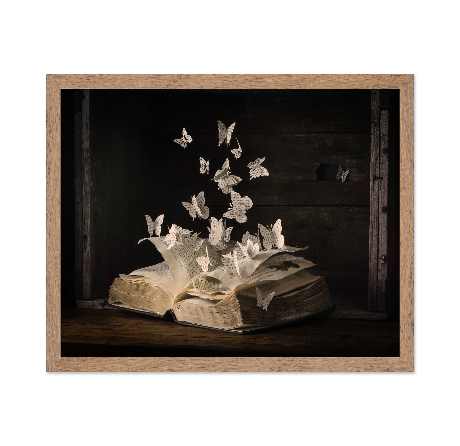 Lepidopterology