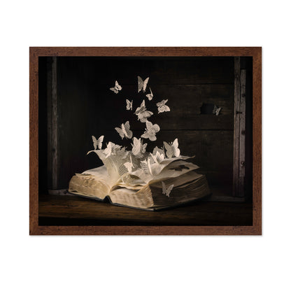 Lepidopterology