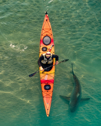 Intimate Shark Encounter