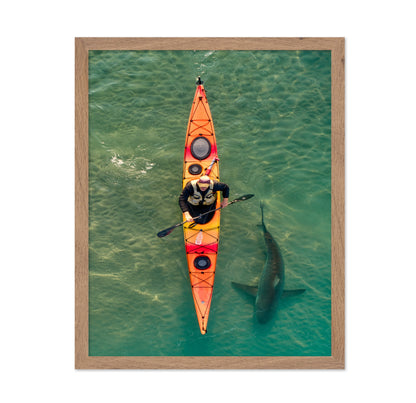 Intimate Shark Encounter