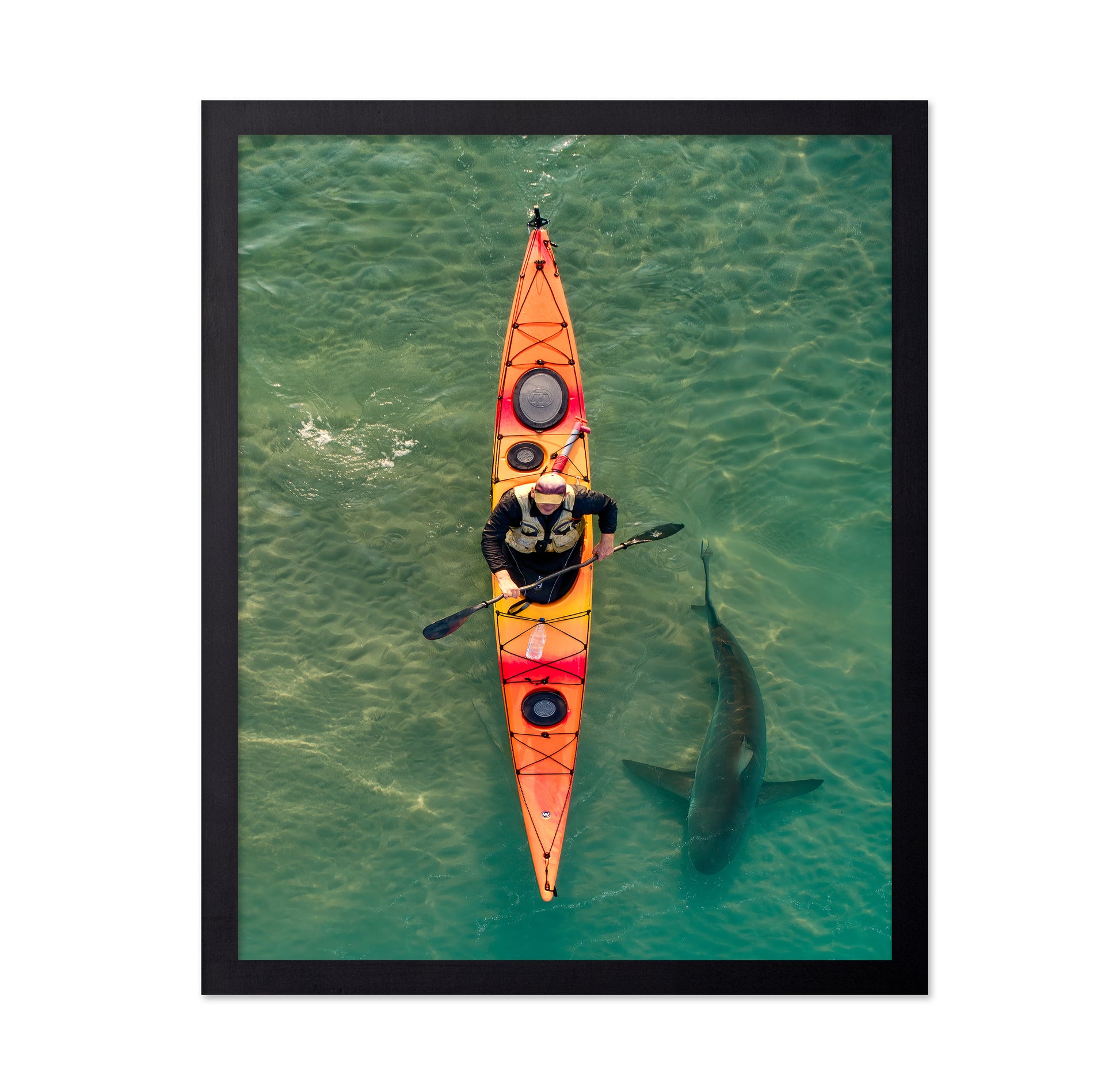 Intimate Shark Encounter