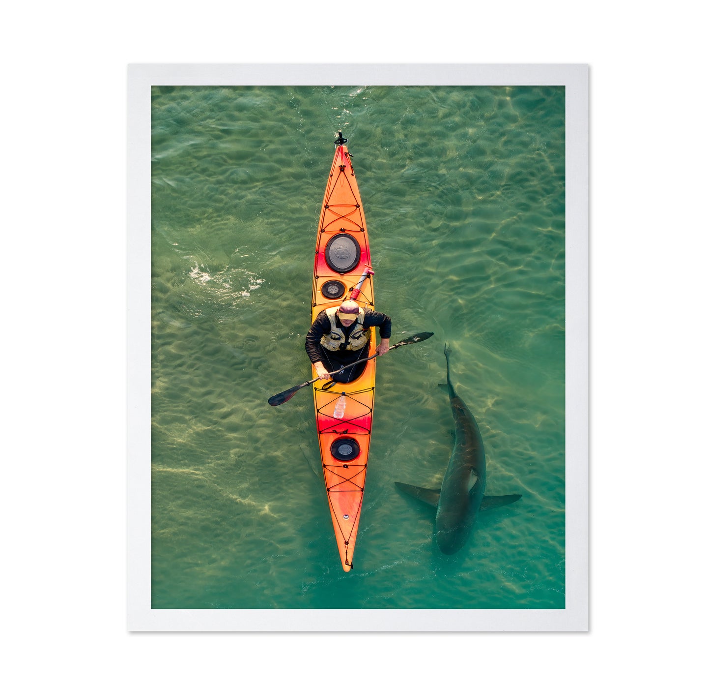 Intimate Shark Encounter