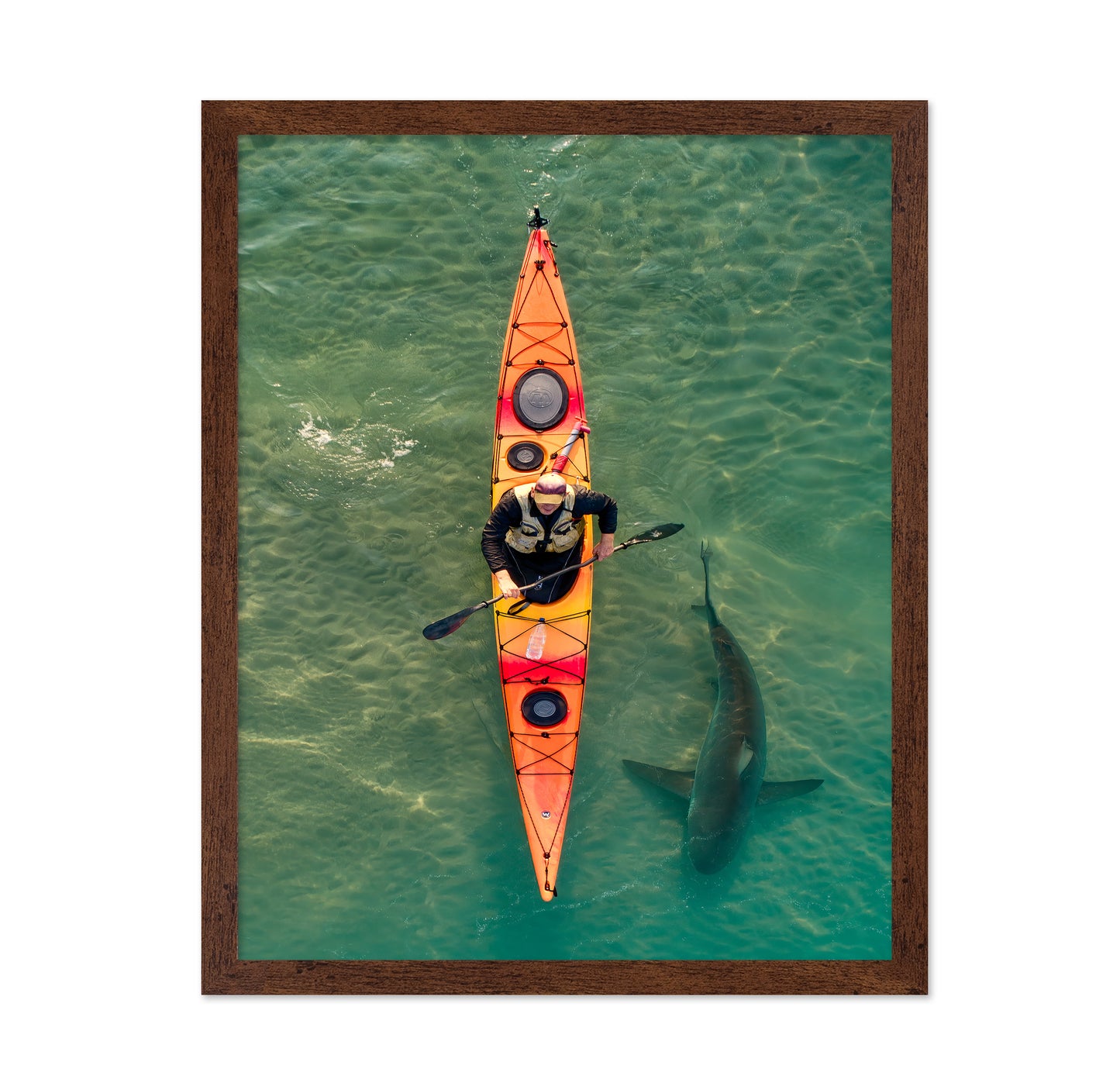 Intimate Shark Encounter