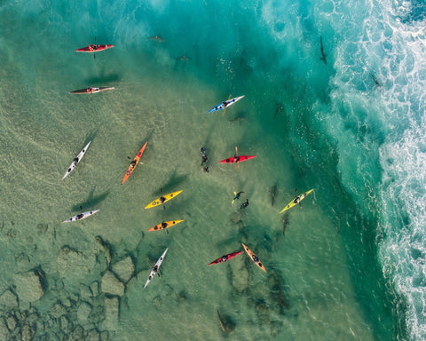 Sharks Party