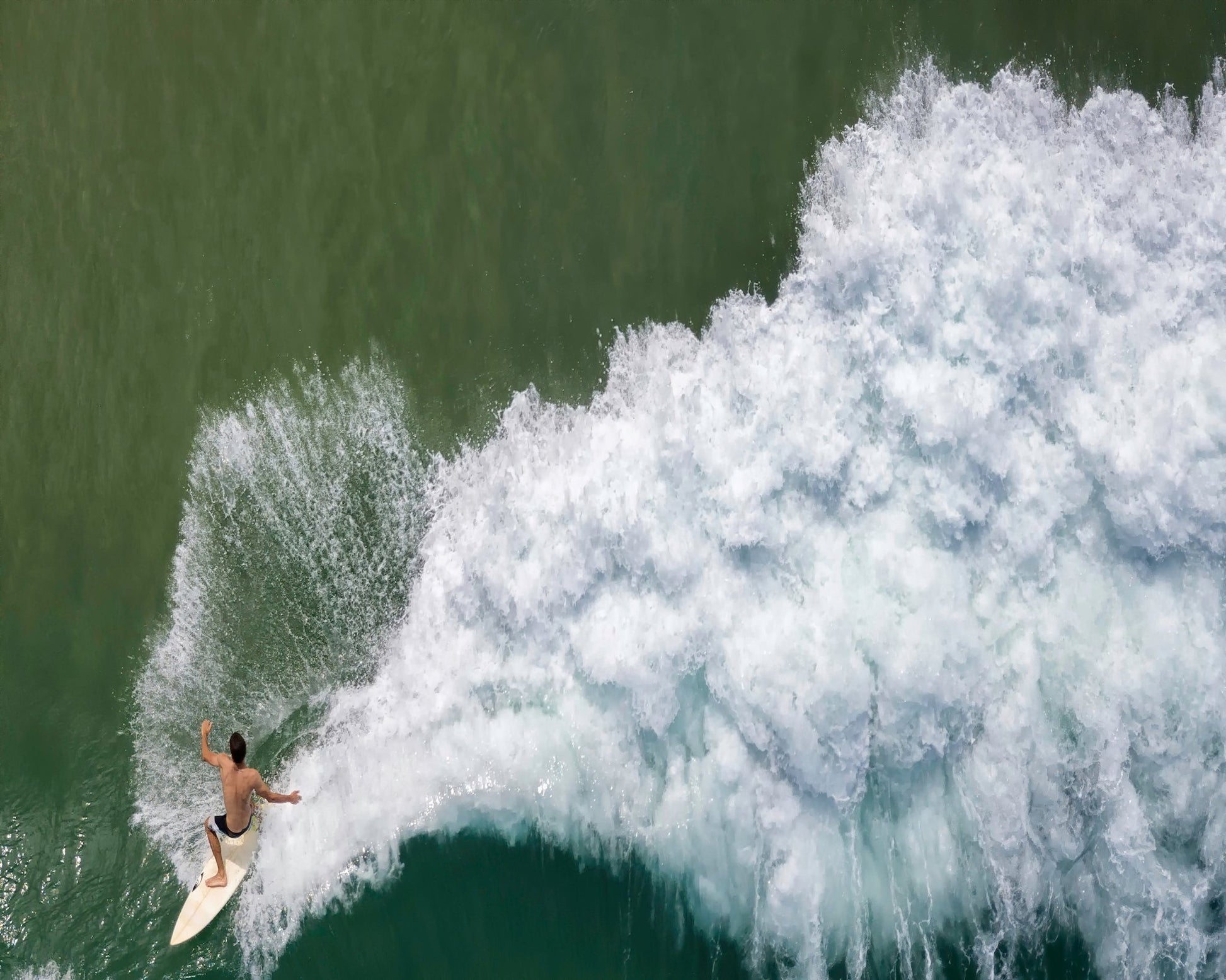 Surfing Rooster