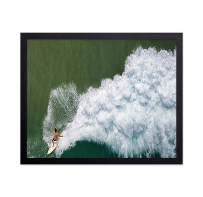 Surfing Rooster