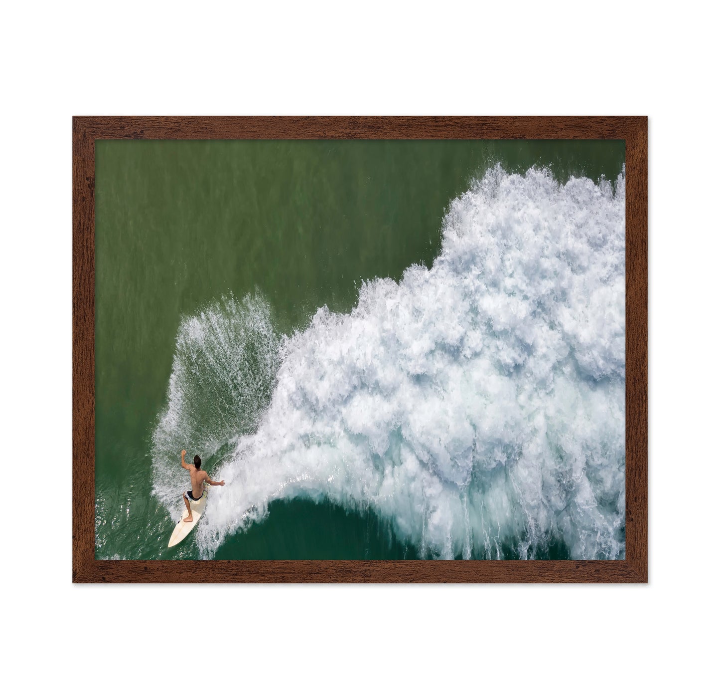 Surfing Rooster